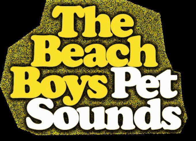 Brian Wilson Des Beach Boys Explique En Quoi Ses Arrangements Musicaux Diffèrent De Ceux De Paul McCartney